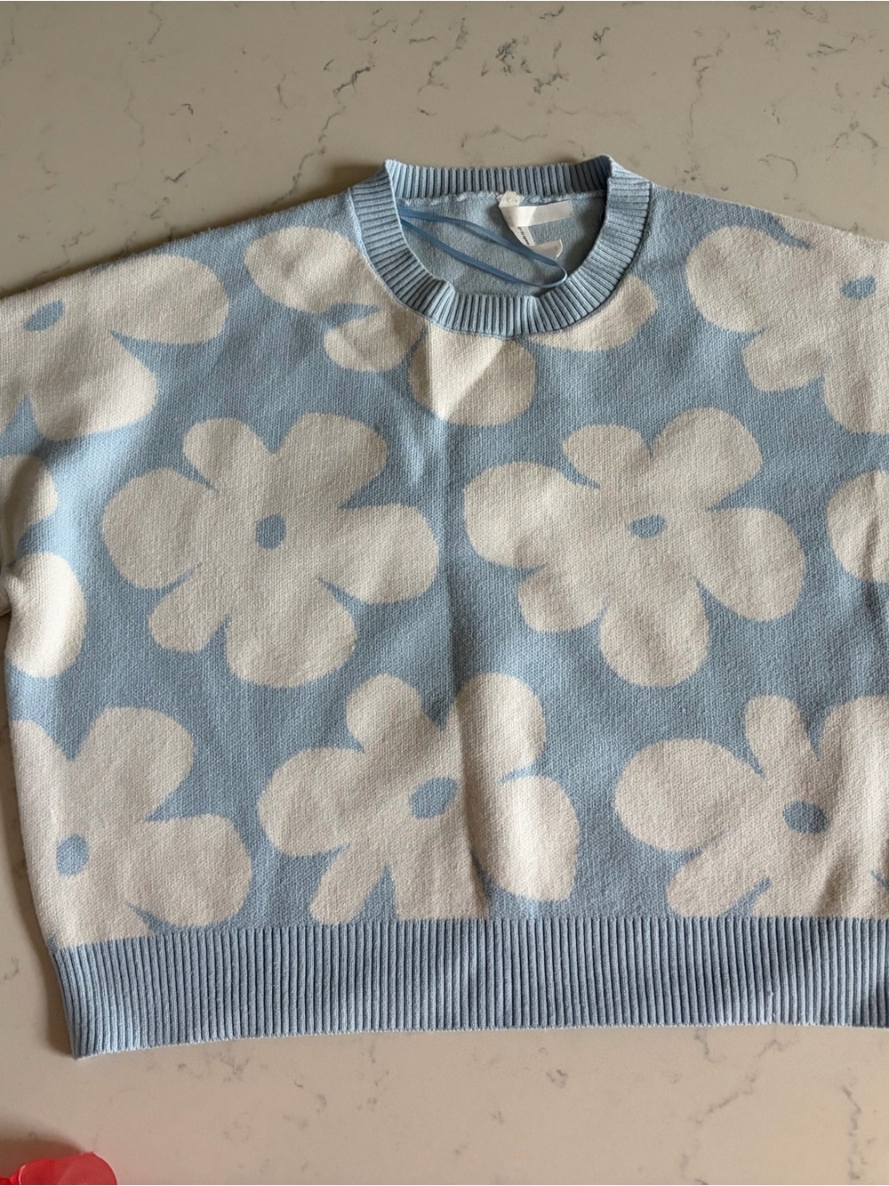 Dreamers Baby Blue Crewneck Sweater with White Floral Pattern